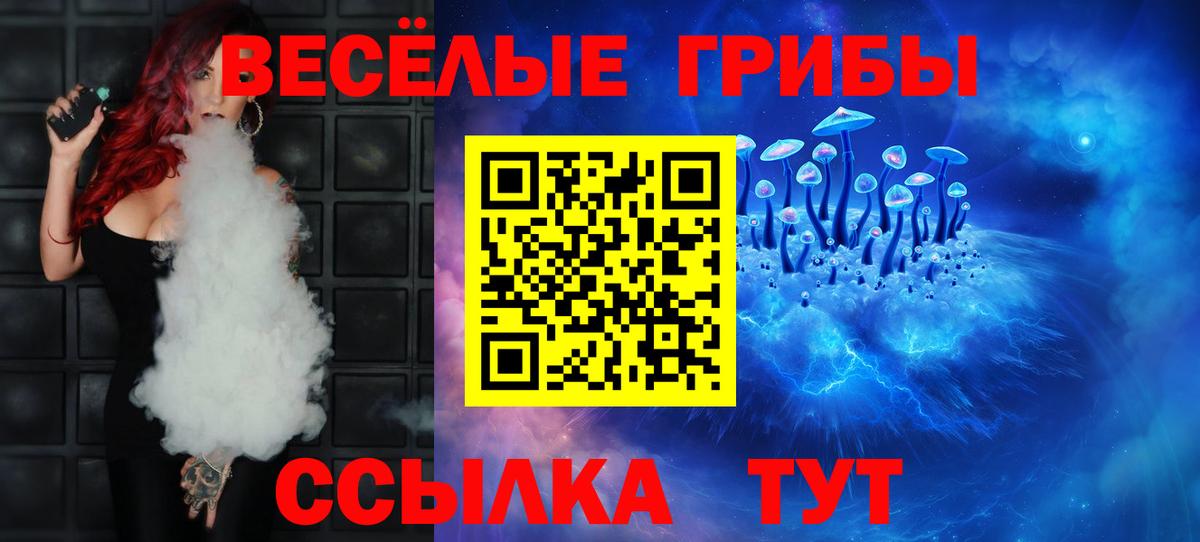 купить наркотики цена  Вход с VPN  Саратов  Псилоцибиновые грибы Magic Shrooms 